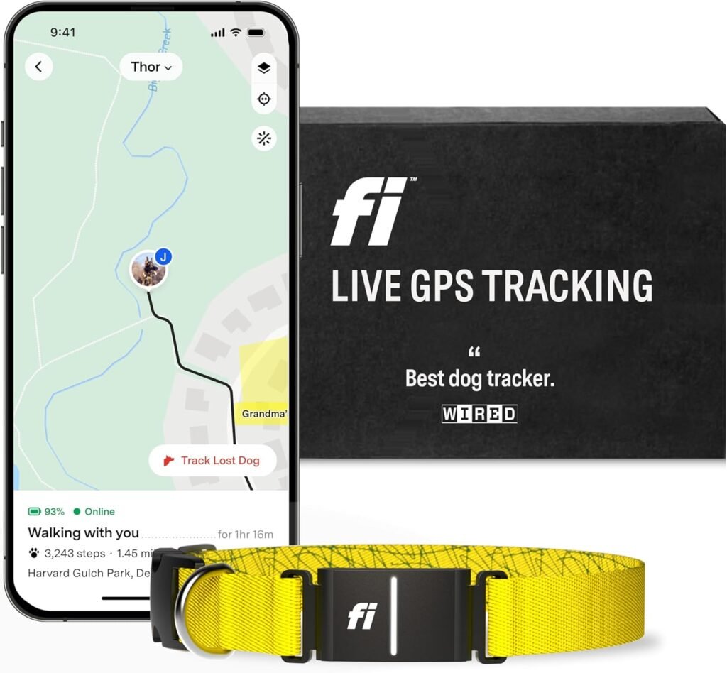 Fi Series 3 Smart Dog Collar - GPS Dog Tracker and Activity  Health Monitor, Waterproof, LED Light, Escape Alerts, Nationwide Coverage [Free 1 Year Membership] (Blue, Large)
