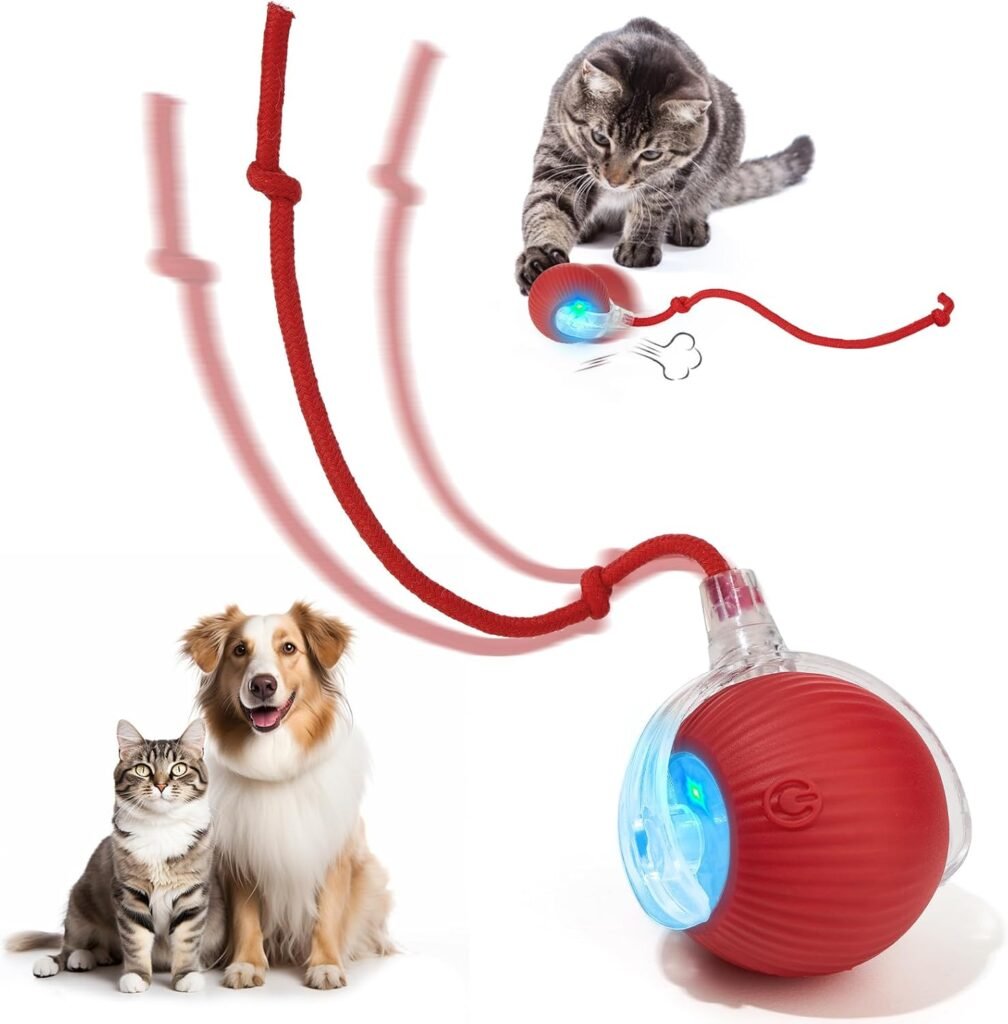 Interactive Dog Cat Electric Active Toys, Smart Rolling Ball for Dogs Cats, 360° Smart Automatic Rolling Pet Ball, Fast Moving Toy for Bored Indoor Kitty, Rechargeable(Red) Interactive Dog Cat Electric Active Toys, Smart Rolling Ball for Dogs Cats, 360° Smart Automatic Rolling Pet Ball, Fast Moving Toy for Bored Indoor Kitty, Rechargeable(Red)