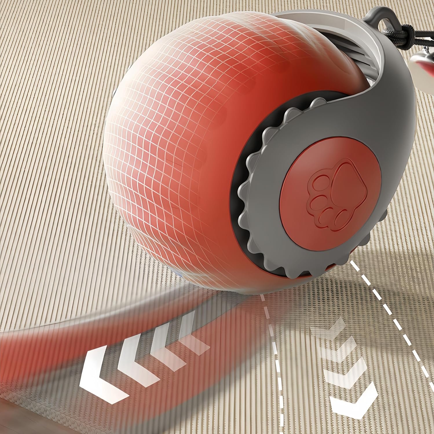 Upgraded racing tail 50 review