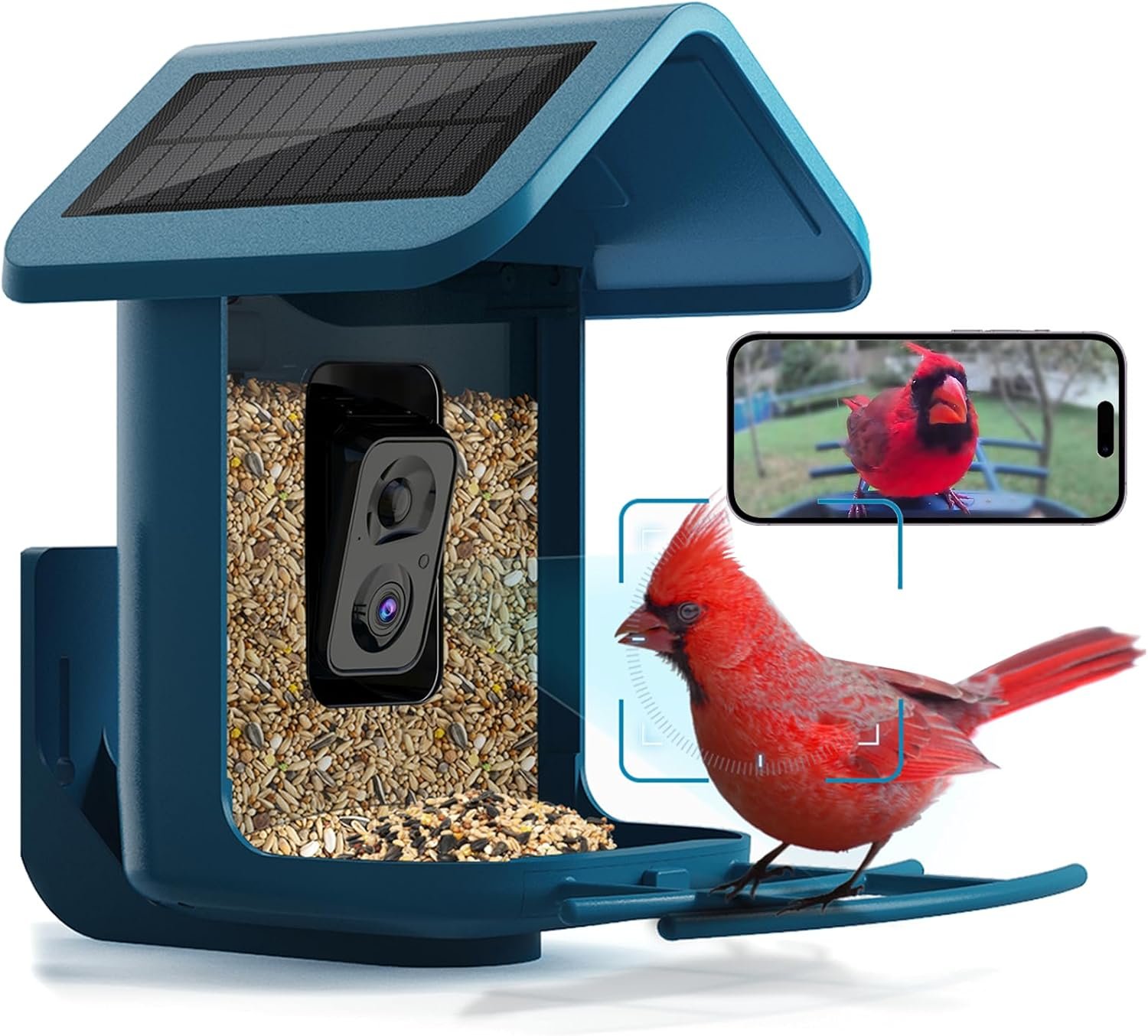 Bird feeder with camera solar powered smart camera bird feeder 2k live feed cam for outdoor backyard ai identify auto ca