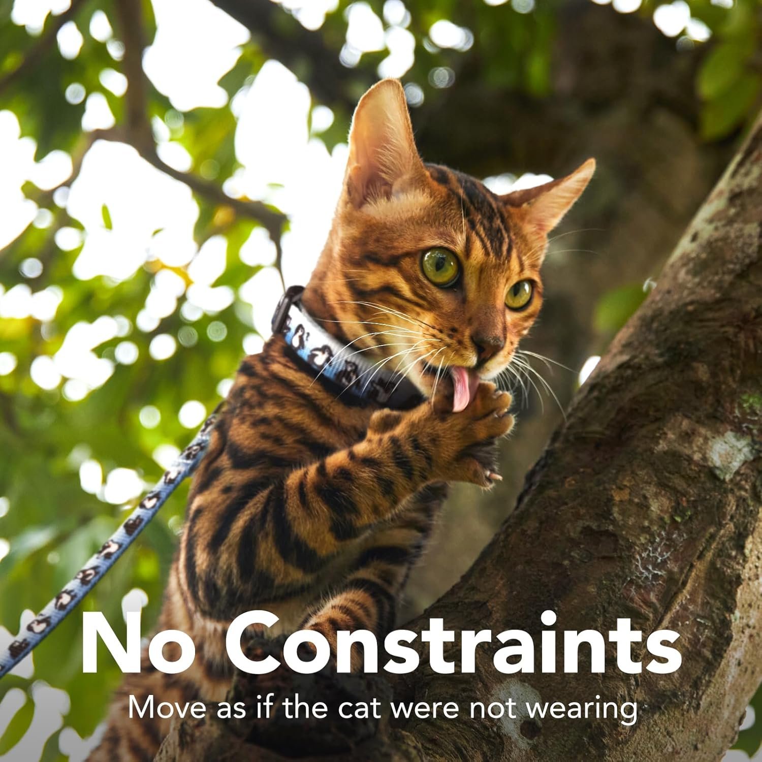 Cat harness and leash set escape proof adjustable cat harness comfortable soft lightweight use safe easy walking travel 1