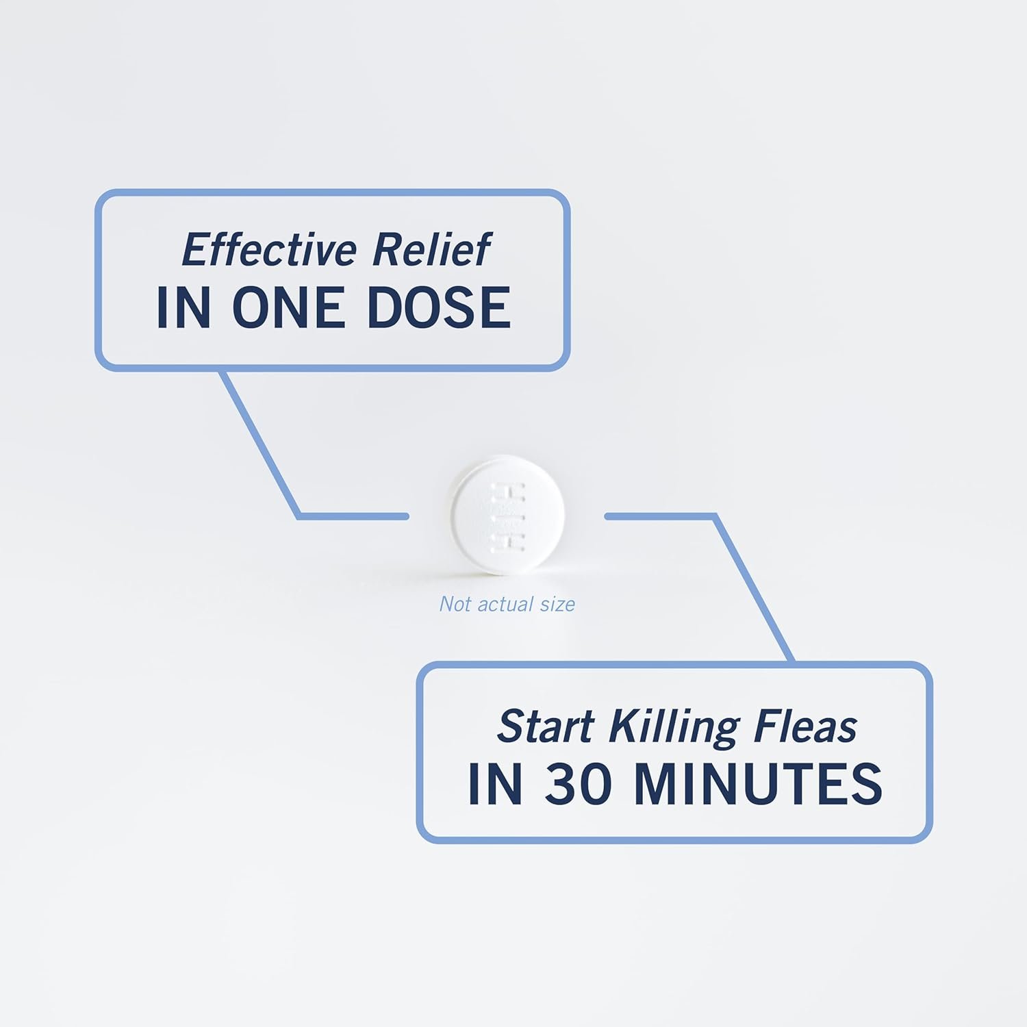 Petarmor capaction nitenpyram oral flea treatment for dogs fast acting tablets start killing fleas in 30 minutes dogs ov