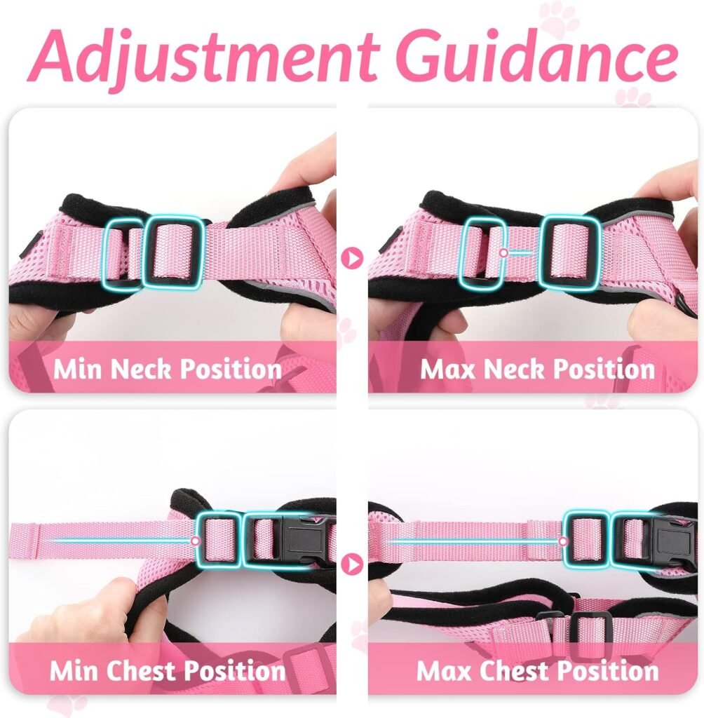 rabbitgoo Cat Harness and Leash for Walking, Escape Proof Soft Adjustable Vest Harnesses for Cats, Easy Control Breathable Reflective Strips Jacket, Black, XS rabbitgoo Cat Harness and Leash for Walking, Escape Proof Soft Adjustable Vest Harnesses for Cats, Easy Control Breathable Reflective Strips Jacket, Black, XS