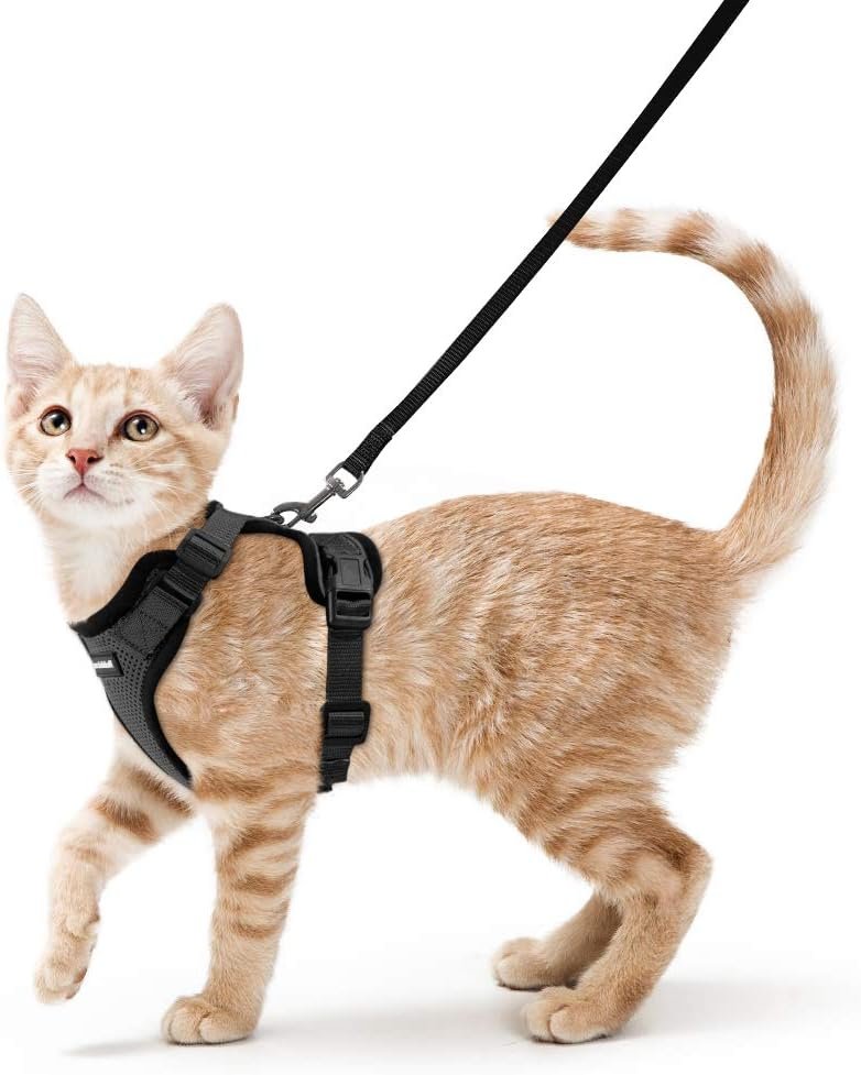 rabbitgoo Cat Harness and Leash for Walking, Escape Proof Soft Adjustable Vest Harnesses for Cats, Easy Control Breathable Reflective Strips Jacket, Black, XS rabbitgoo Cat Harness and Leash for Walking, Escape Proof Soft Adjustable Vest Harnesses for Cats, Easy Control Breathable Reflective Strips Jacket, Black, XS