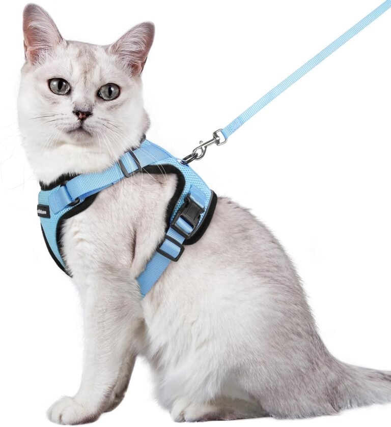 Rabbitgoo cat harness and leash for walking escape proof soft adjustable vest harnesses for cats easy control breathable