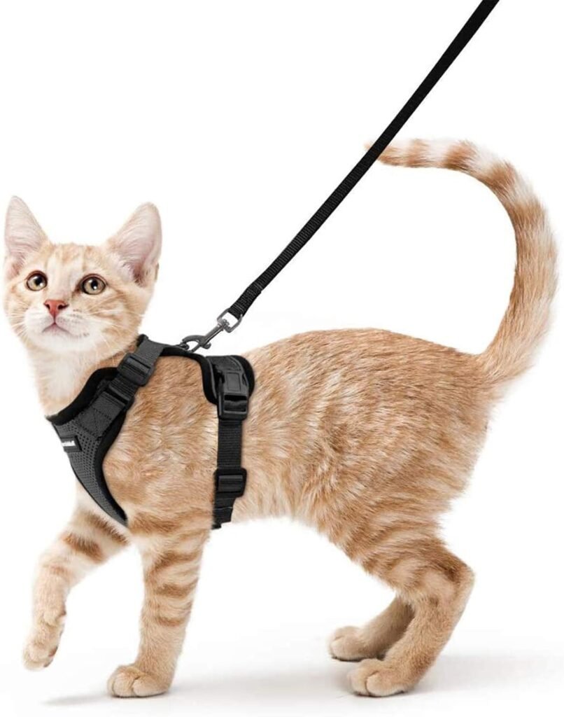 rabbitgoo Cat Harness and Leash for Walking, Escape Proof Soft Adjustable Vest Harnesses for Cats, Easy Control Breathable Reflective Strips Jacket, Black, XS rabbitgoo Cat Harness and Leash for Walking, Escape Proof Soft Adjustable Vest Harnesses for Cats, Easy Control Breathable Reflective Strips Jacket, Black, XS