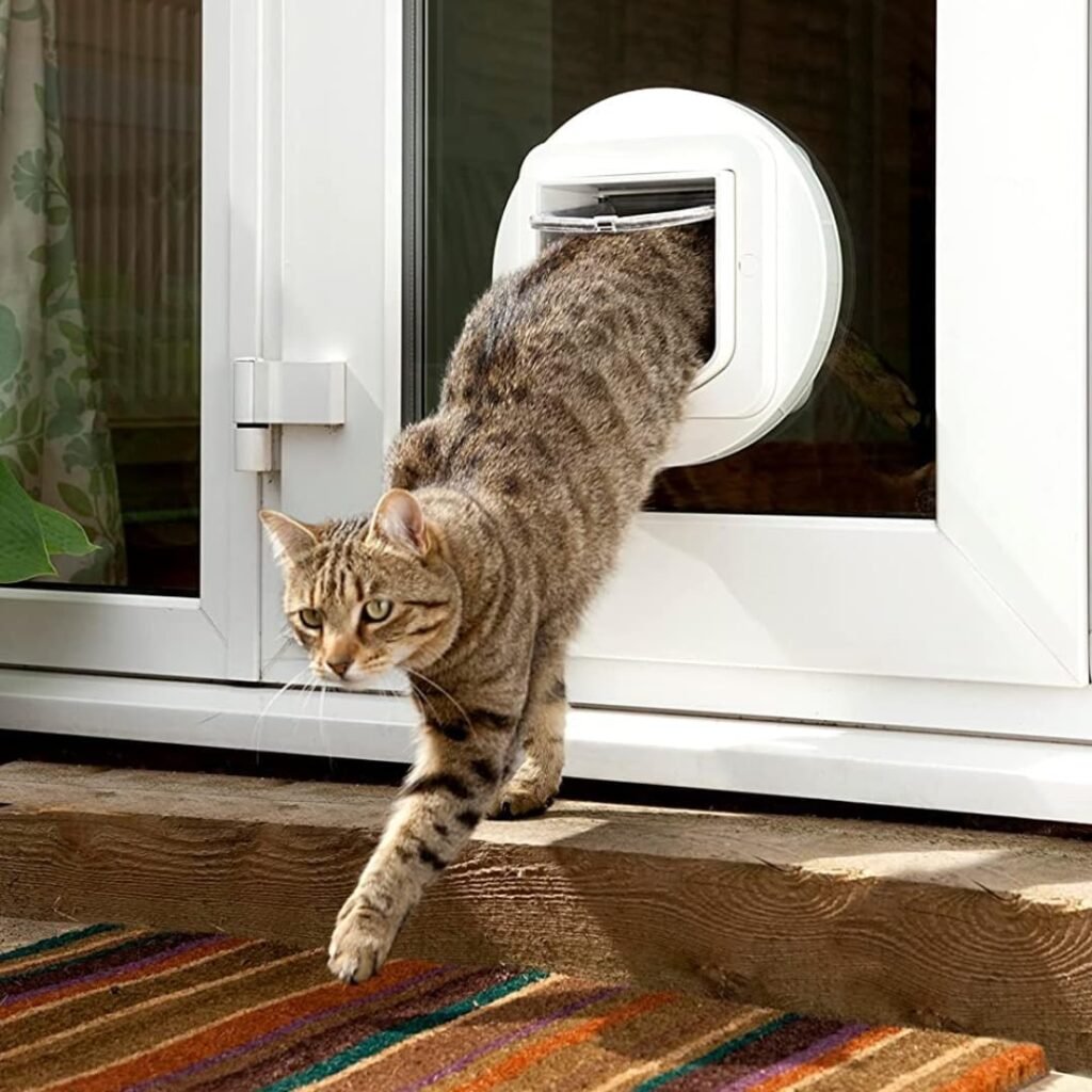 SureFlap - Sure Petcare Microchip Cat Flap, White, Scans Pets ID on Entry, Check Your Cats Size,Flap Opening is 4 3/4” (H) by 5 5/8” (W) SureFlap - Sure Petcare Microchip Cat Flap, White, Scans Pets ID on Entry, Check Your Cats Size,Flap Opening is 4 3/4” (H) by 5 5/8” (W)