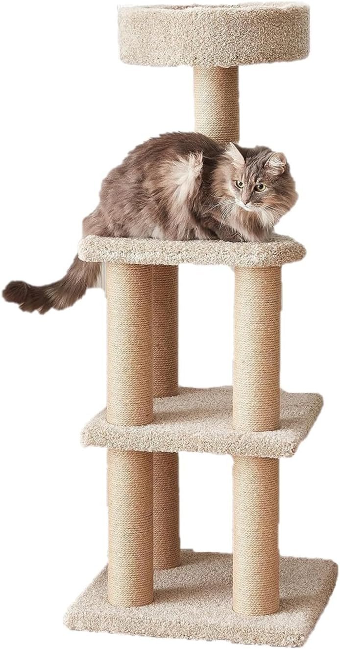 Amazon basics cat tree indoor cat kittens multi level climbing activity tower with scratching posts large 459h beige