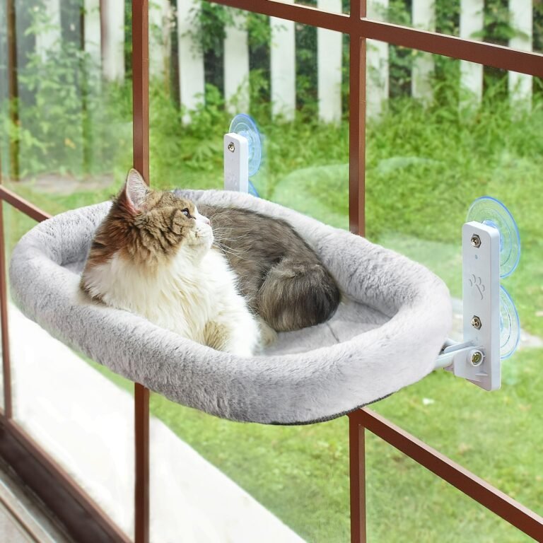 Amosijoy cordless cat window perch cat hammock for wall with 4 strong suction cups solid metal frame and two replaceable