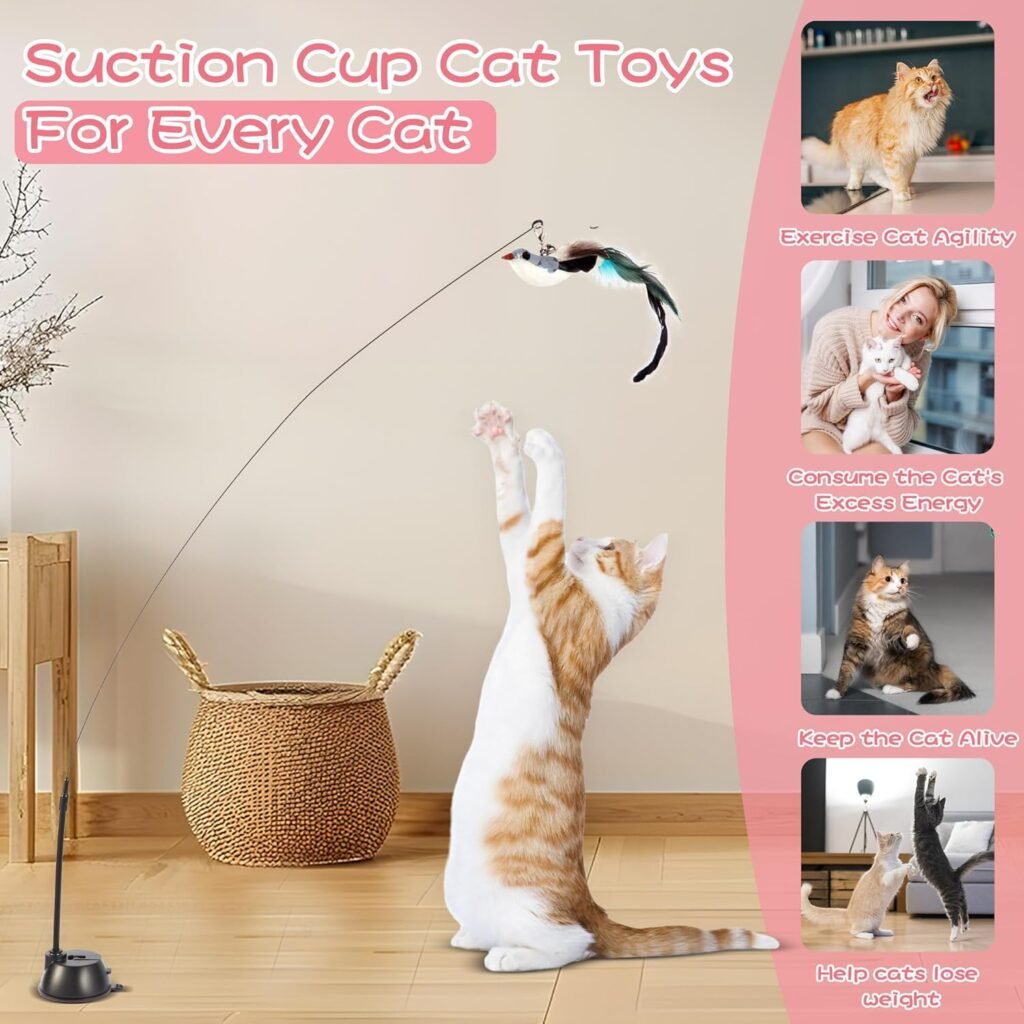 Interactive Bird Simulation Cat Toy Set,Cat Wand Toys,Wand Self-Holding Suction Cups Base,Include Detachable 6 Pcs Replacements Feathers Toys