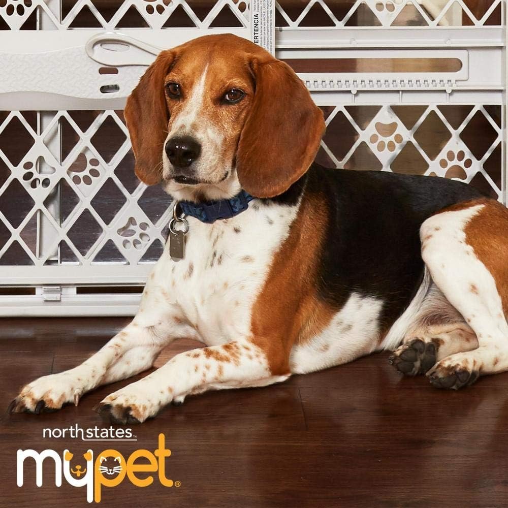 Mypet north states paws portable pet gate 26 40 wide pressure mount no tools needed made in usa dog gate 23 tall expanda
