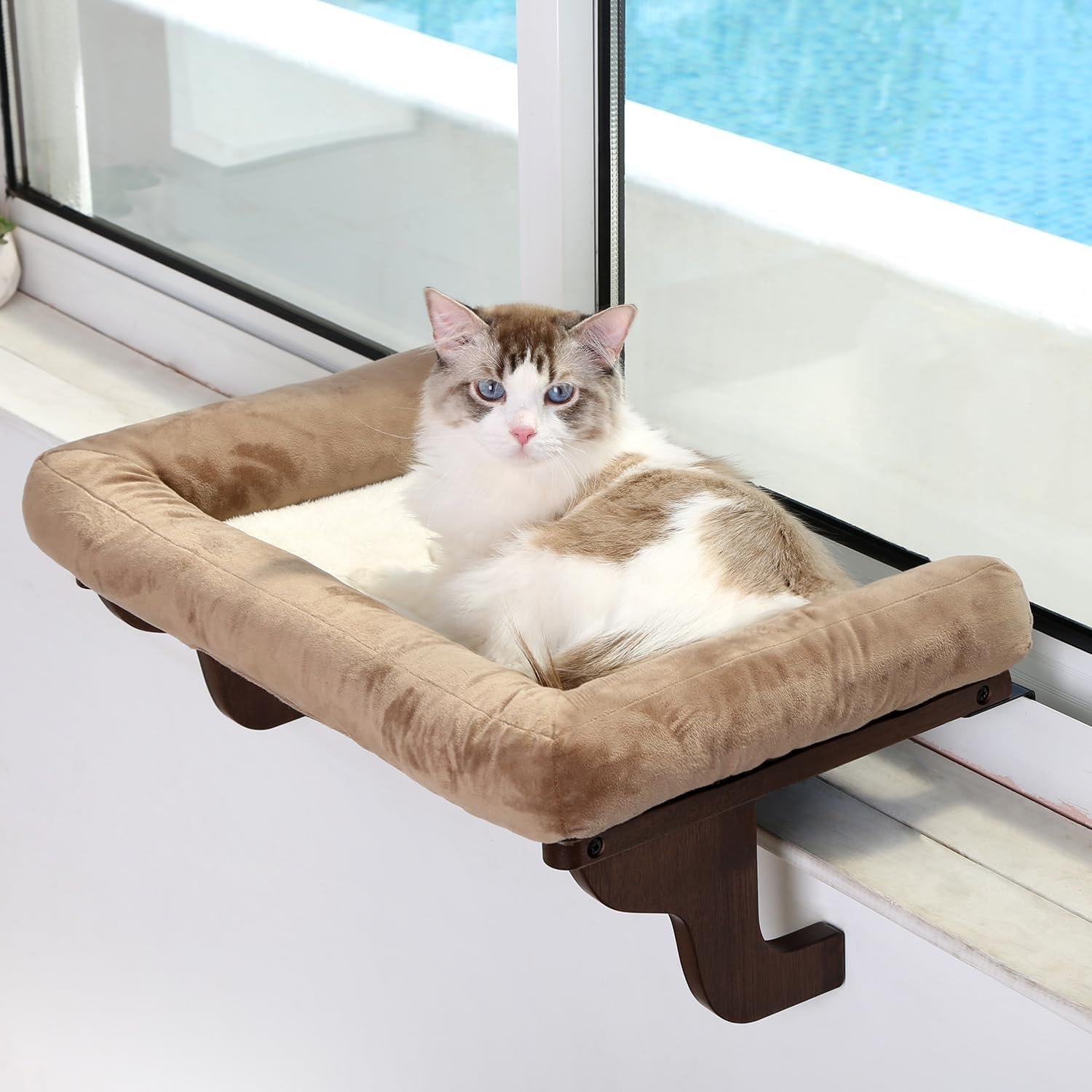 Zakkart cat perch for window sill with bolster orthopedic hammock design with premium hardwood robust metal frame cat wi