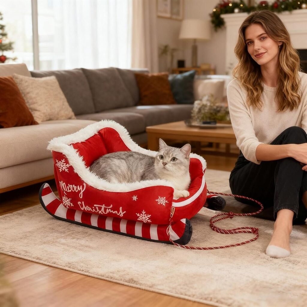 Christmas Sleigh Dog Bed - Funny Santa Sleigh Pet Warm Bed | Removable Washable Plush Pet Warm Sofa with Non-Slip Base | Christmas Cat Dog Nest for Winter Indoor Outdoor (M) Christmas Sleigh Dog Bed - Funny Santa Sleigh Pet Warm Bed | Removable Washable Plush Pet Warm Sofa with Non-Slip Base | Christmas Cat Dog Nest for Winter Indoor Outdoor (M)