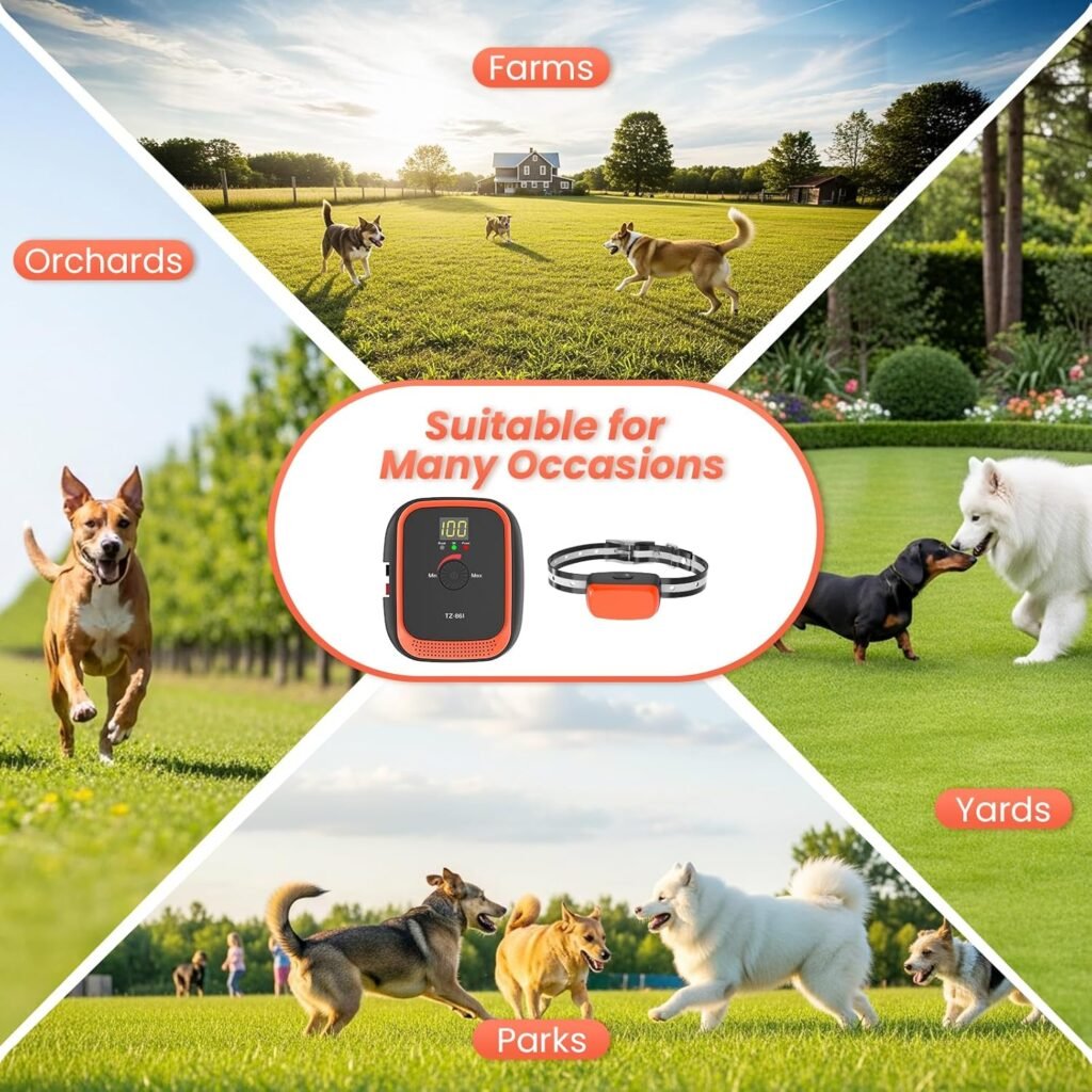Electric Fence for Dogs, Rechargeable Underground Dog Fence System with 656Ft Wire, In Ground Dog Fence with 2 Waterproof Collar, Wired Dog Fence System Outdoor Training for Yard (for 2 Dogs)