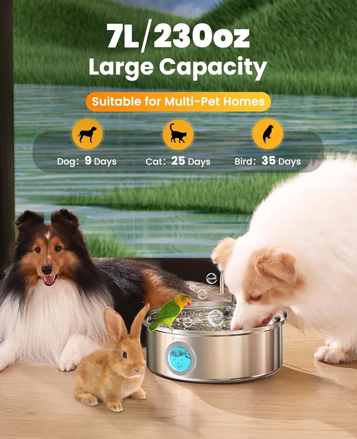 Oneisall dog water fountain review